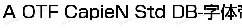 A OTF CapieN Std DB字体转换